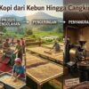 Perjalanan Kopi dari Kebun Hingga Cangkir: Kisah Panjang di Balik Setiap Tegukan